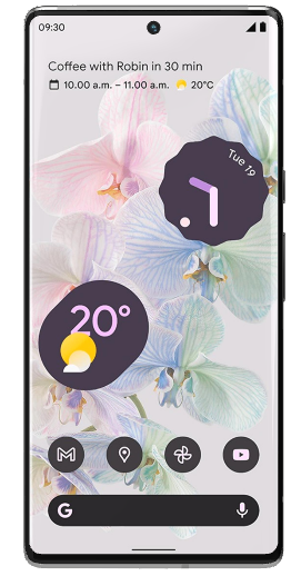 Pixel 6 Pro (GLUOG/G8VOU)